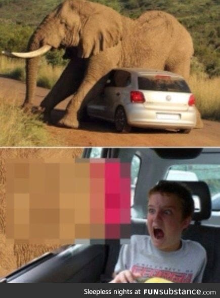 Holy mother of God, that's an elephants d*ck