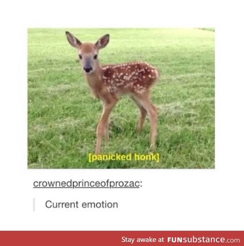 Oh deer...