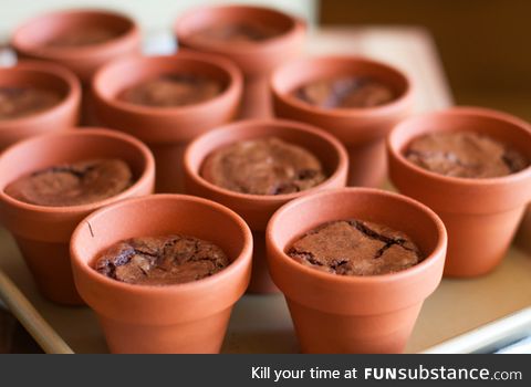 Pot brownies