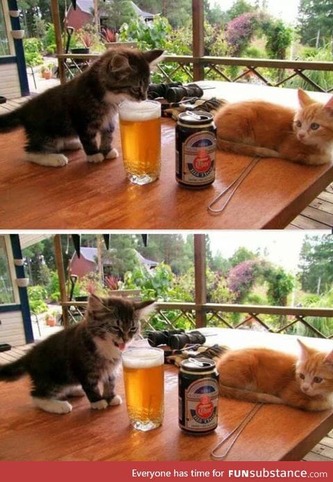 Human, you drink this stuff?