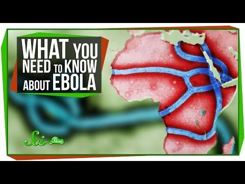 dont freak out over ebola