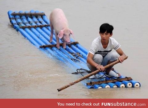 If Life of Pi had a low budget