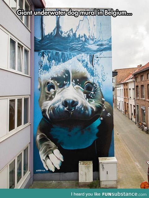 Amazing mural in belgium