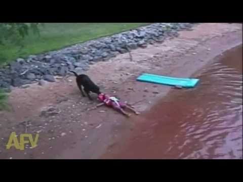 This Kid's Fun Is Over Thanks To A Rescue Dog That Thinks He Is Drowning