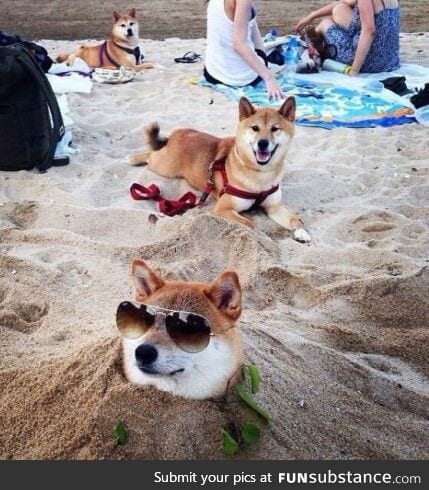 WOW.Such sand.                            Very cool.              Much chill.