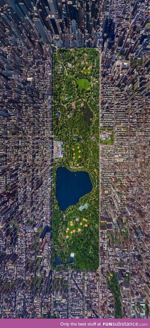 Central Park from above