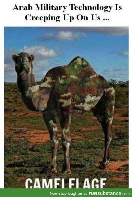 True camelflage