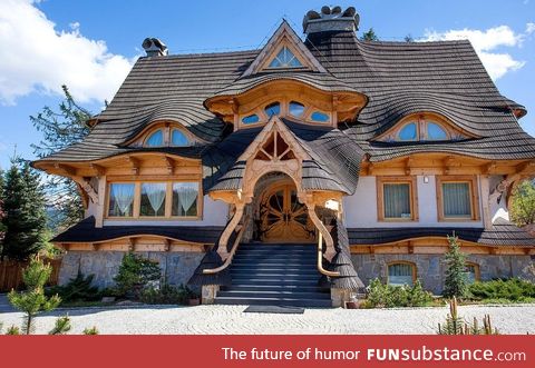 The roof and front door of this house