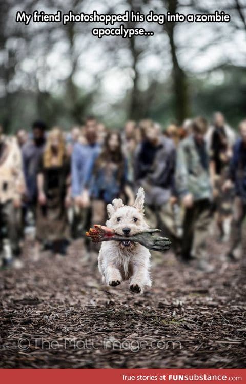 The barking dead