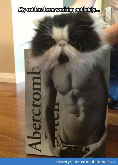 Human, do you even lift?