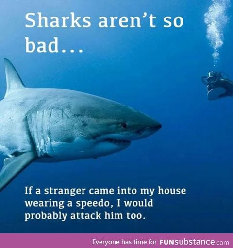 Sharks aren't so bad after all