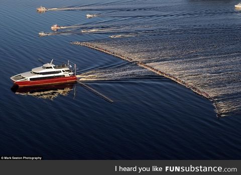 Waterskiing with 144 of your closest friends