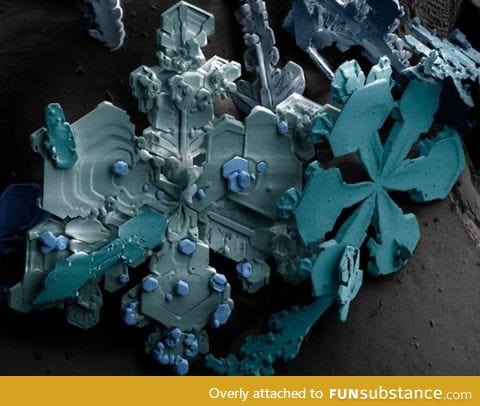 Snowflake under a scanning Electron Microscope