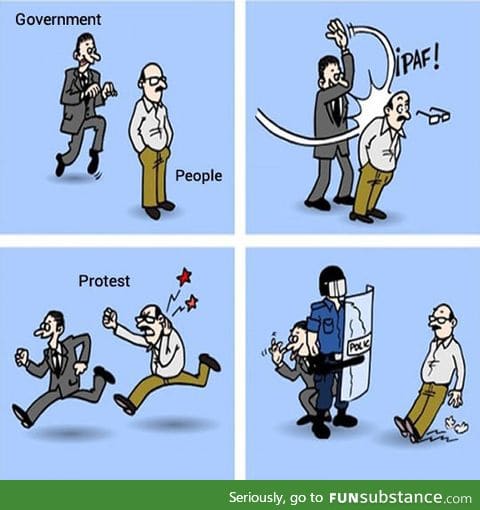 The political protest system
