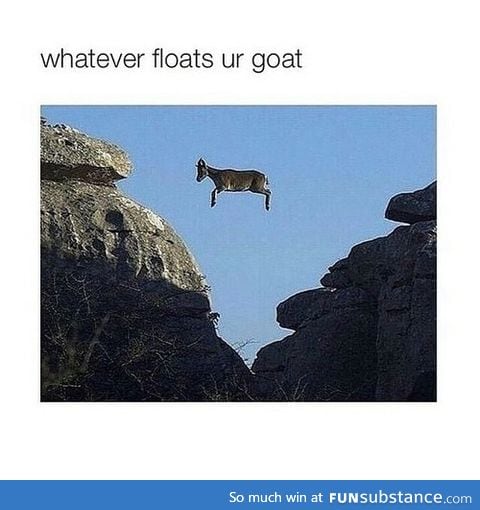 has anyone played the goat simulator game yet?