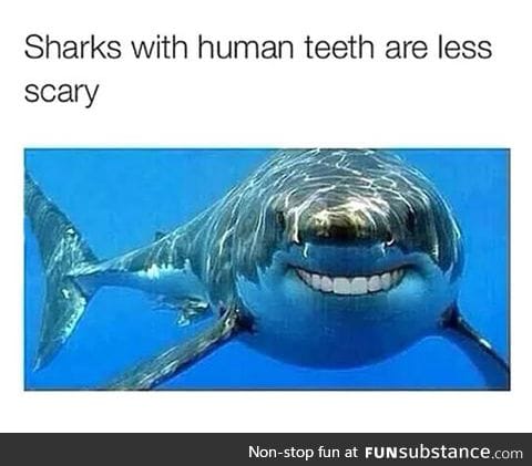 Human toothed sharks