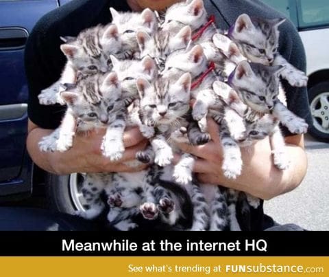 Internet hq