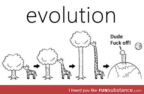 Evolution