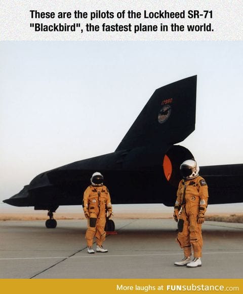 The fastest pilots in the world