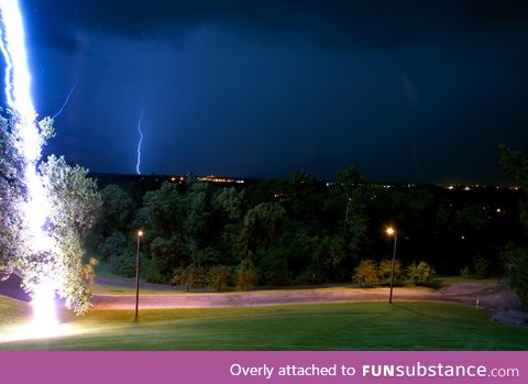 Amazing shot of lightning hitting a tree