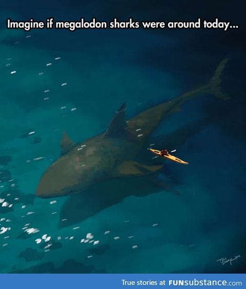 Megalodon sharks: The ocean nightmare