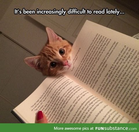 Kitten bookmarks are a big hit