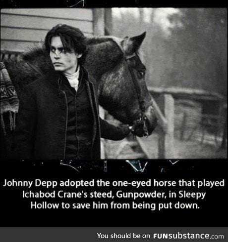 Johnny Depp.saved a horse