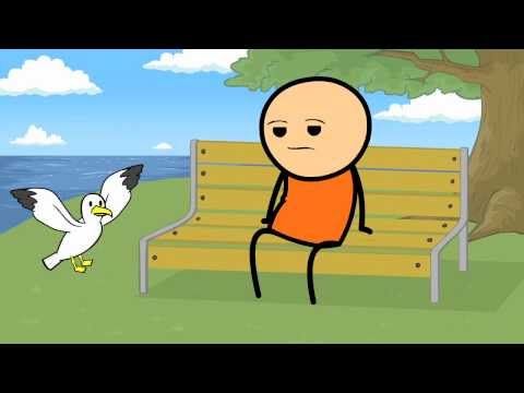 Why You Should Never Trust A Seagull