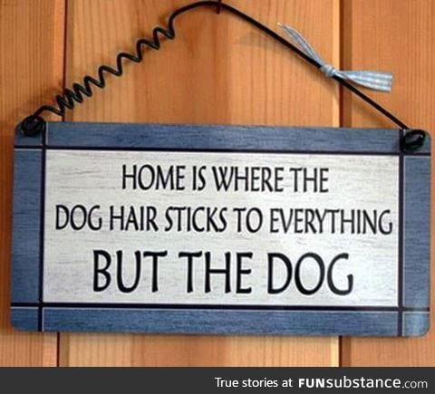 I believe that dog owners would understand.