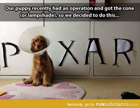 Well, pixar dog