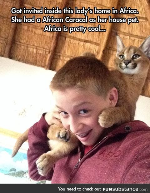 You bet africa cat is pretty cool