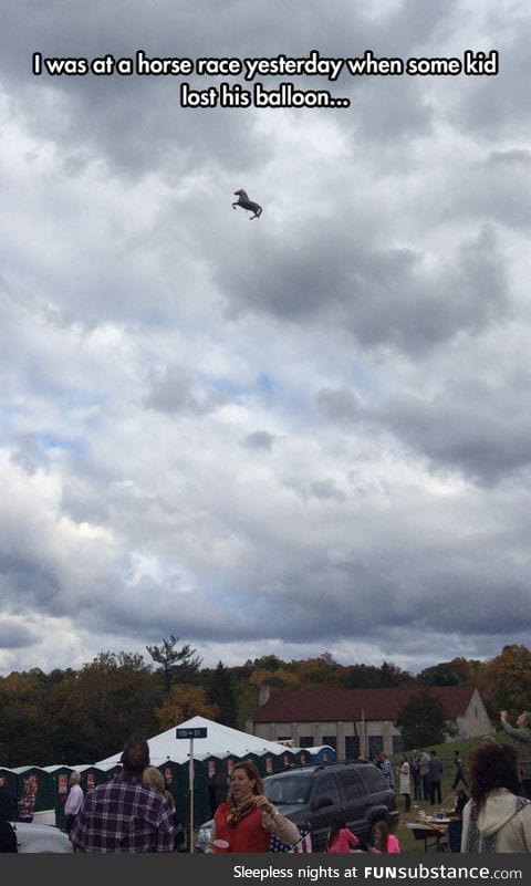 Pegasus spotted at a horse race