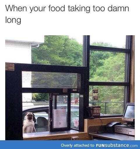 Where's my food?!
