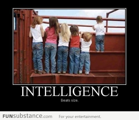 Intelligence Beats Size