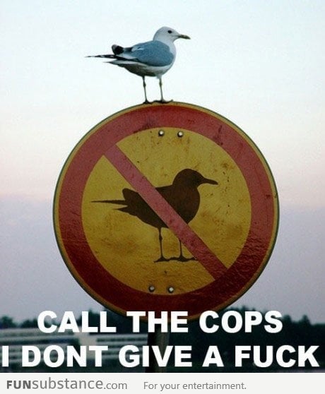 Badass bird