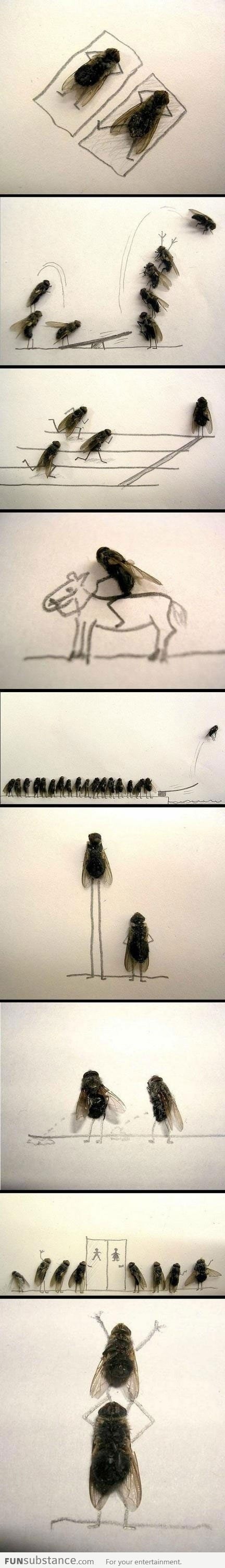 Dead Fly Art