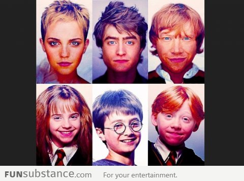 The Harry Potters All Grown Up