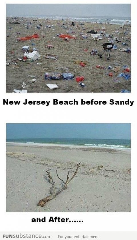 At least it cleaned the beach