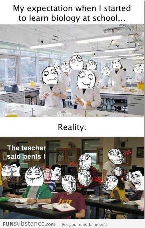 Biology Expectation Vs Reality