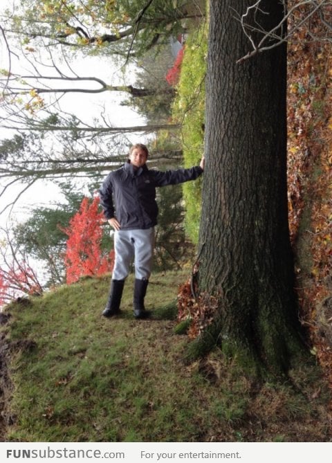 Just posing with a tree