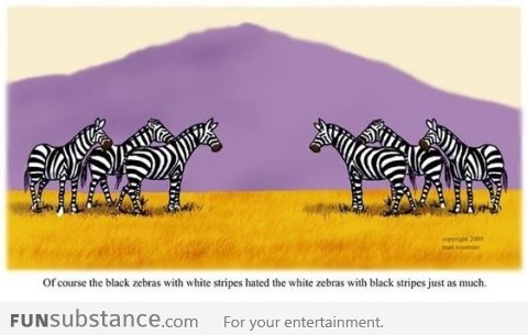 Zebra Racism