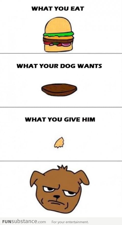 Poor dogs