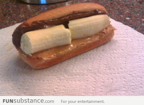 Vegetarian Hot Dog!