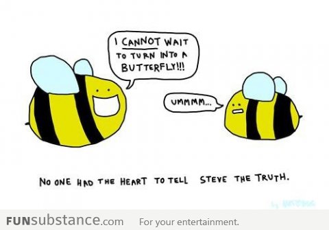 Bee story