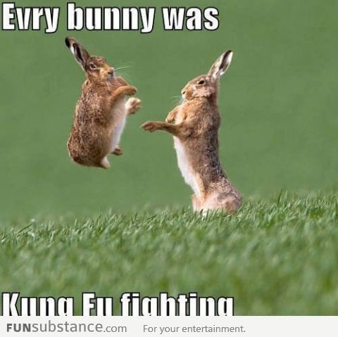 Every bunny was kung fu fighting