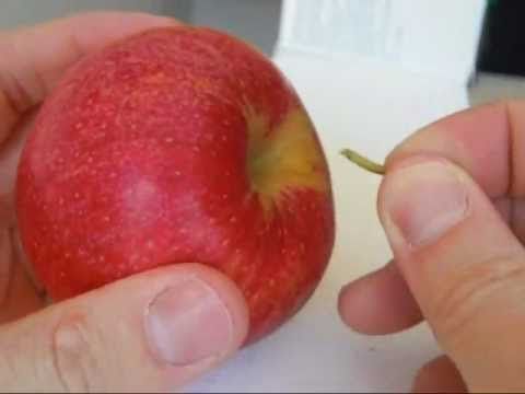 How to cut an apple with your bare hands