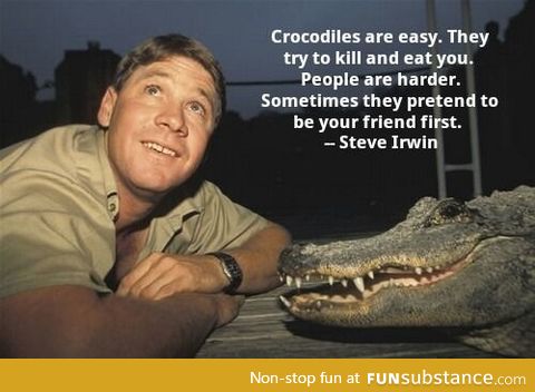 Omg Steve Irwin, best day ever -crocodile