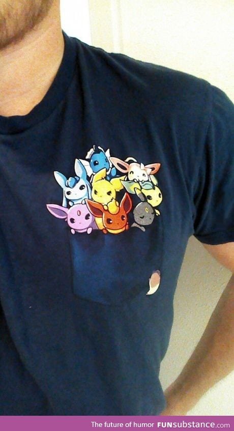 Gentlemen please. This is a real pokemon shirt. All Eevees.