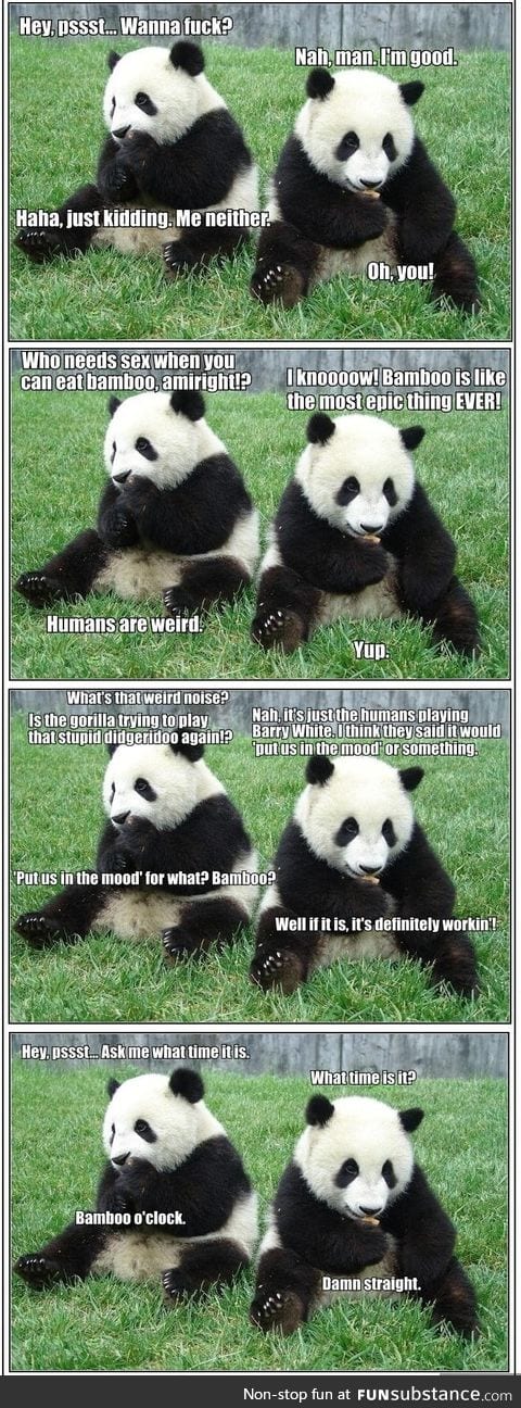 Pandas don't like sex