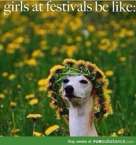 Girls at festivals be like...